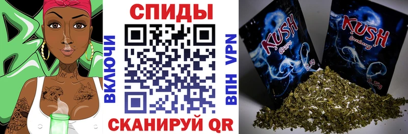 БУТИРАТ Butirat  где купить   Макушино 