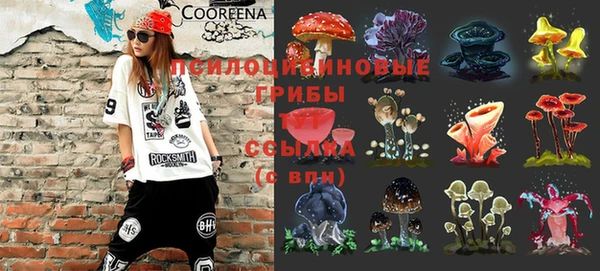 бошки Армянск