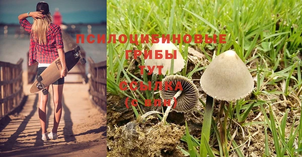соль ск Нягань