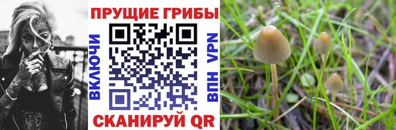 Галлюциногенные грибы мухоморы hydra рабочий сайт Макушино купить